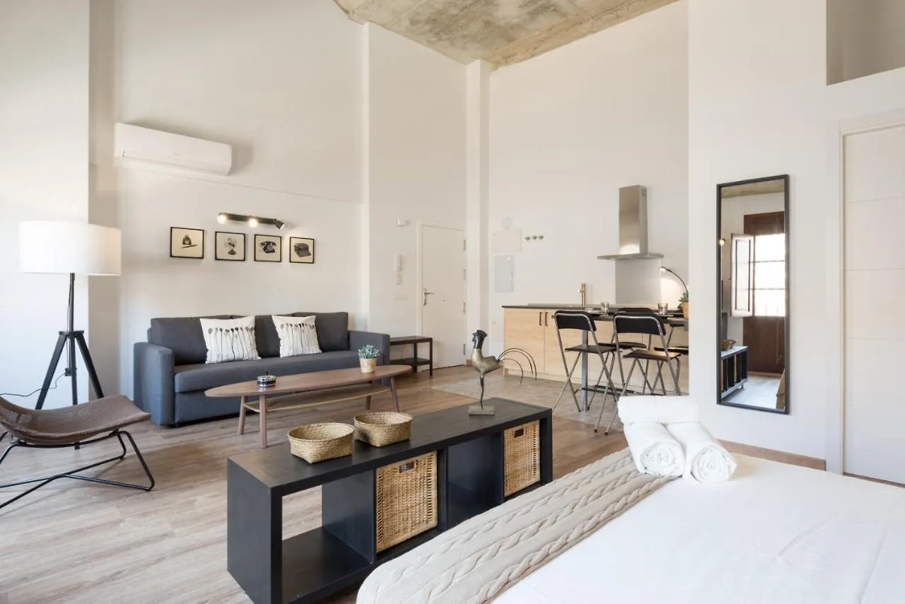 Santiago Premium Loft III Apartment Malaga